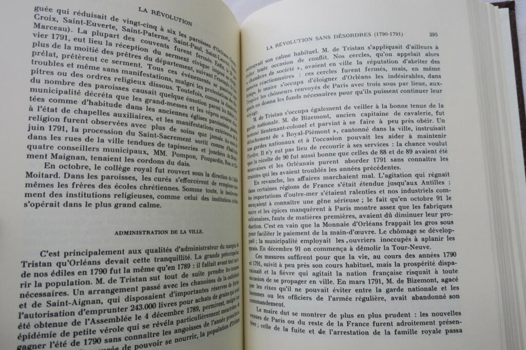 Orléans: Die Geschichte einer Stadt