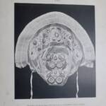 Bemerkenswerte Ornamente einer Industrieschau