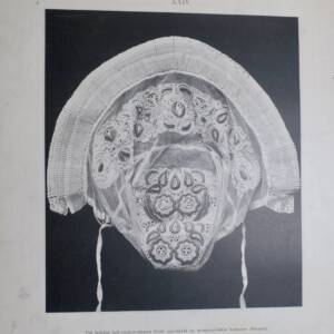 ornements remarquables de l'exposition hongroise industrielle des ouvrages de...