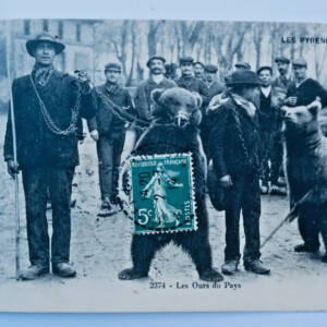 Ours les ours du pays Pyrénées 1914