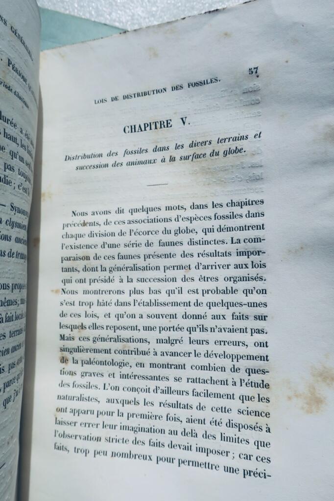 paléontologie Pictet Traité élémentaire de paléontologie ou histoire naturel des
