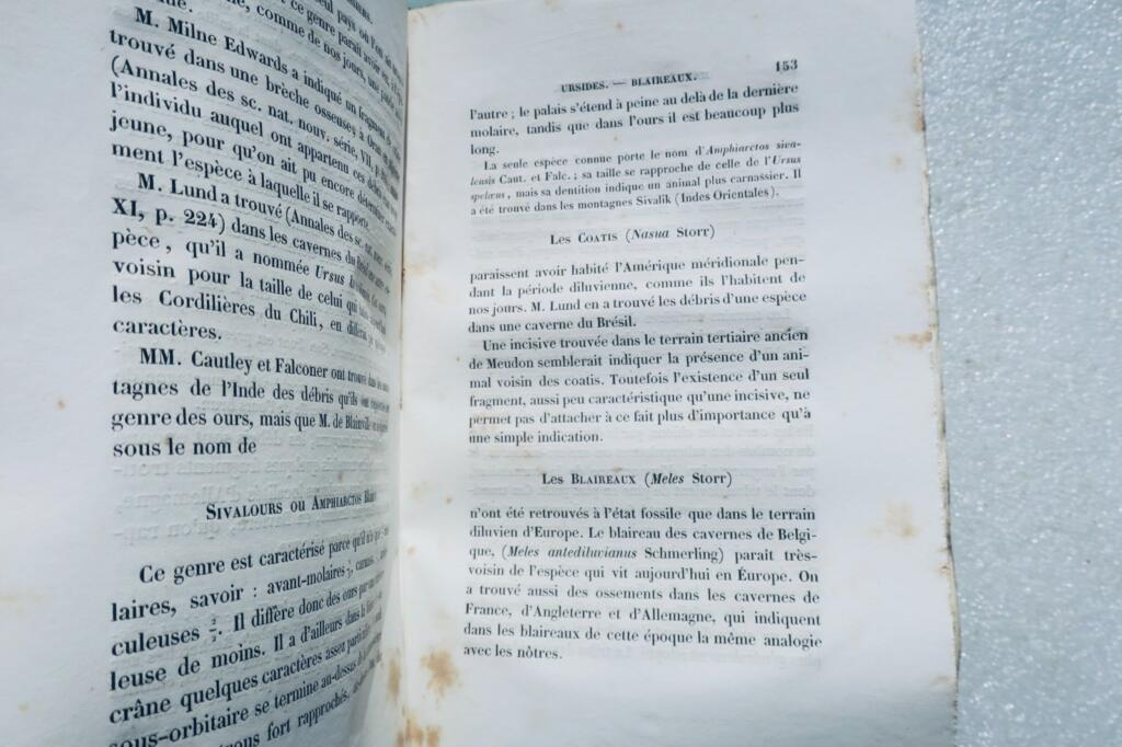 paléontologie Pictet Traité élémentaire de paléontologie ou histoire naturel des