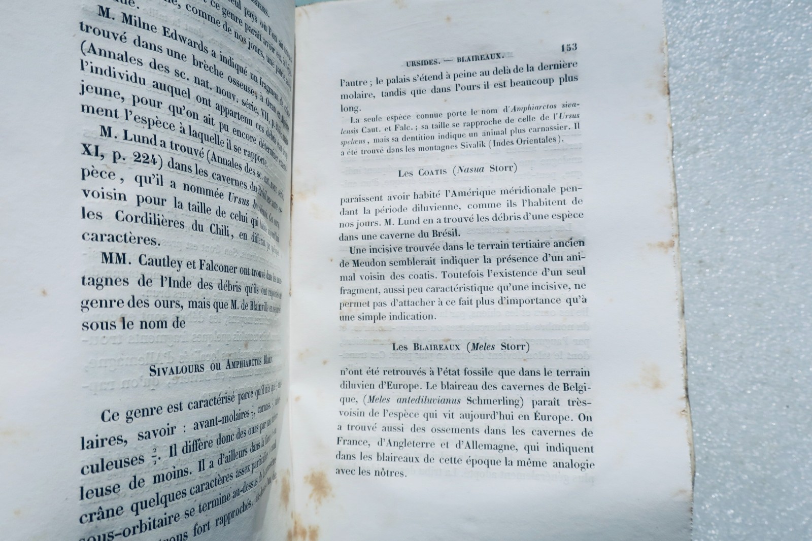 paléontologie Pictet Traité élémentaire de paléontologie ou histoire naturel des - Image 9