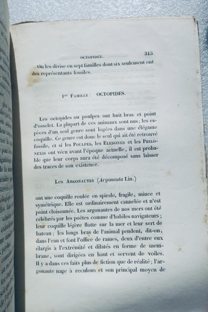 paléontologie Pictet Traité élémentaire de paléontologie ou histoire naturel des