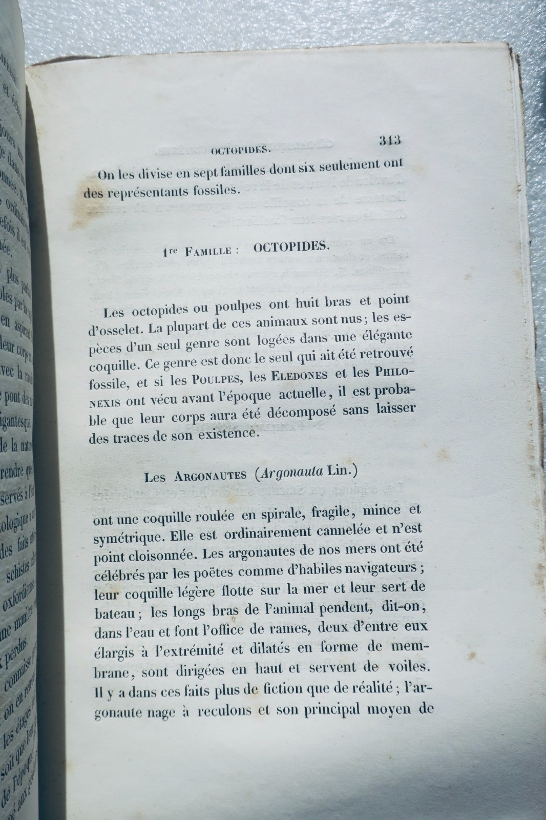 paléontologie Pictet Traité élémentaire de paléontologie ou histoire naturel des - Image 5