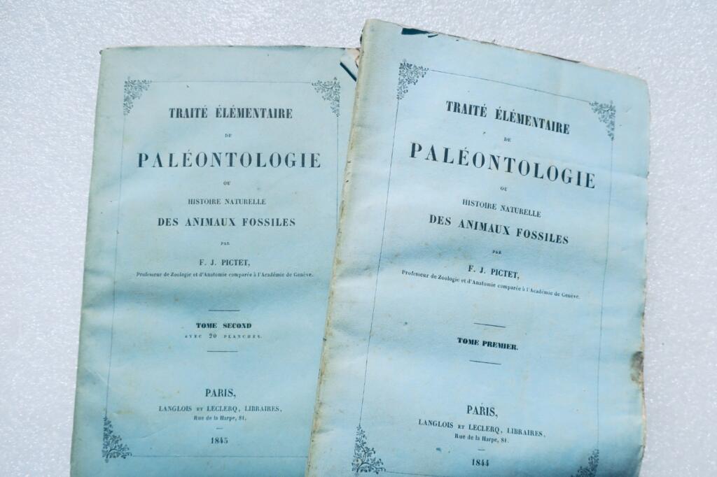 paléontologie Pictet Traité élémentaire de paléontologie ou histoire naturel des
