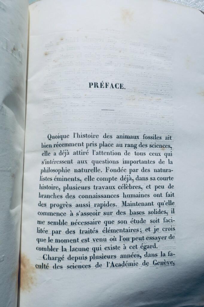 paléontologie Pictet Traité élémentaire de paléontologie ou histoire naturel des