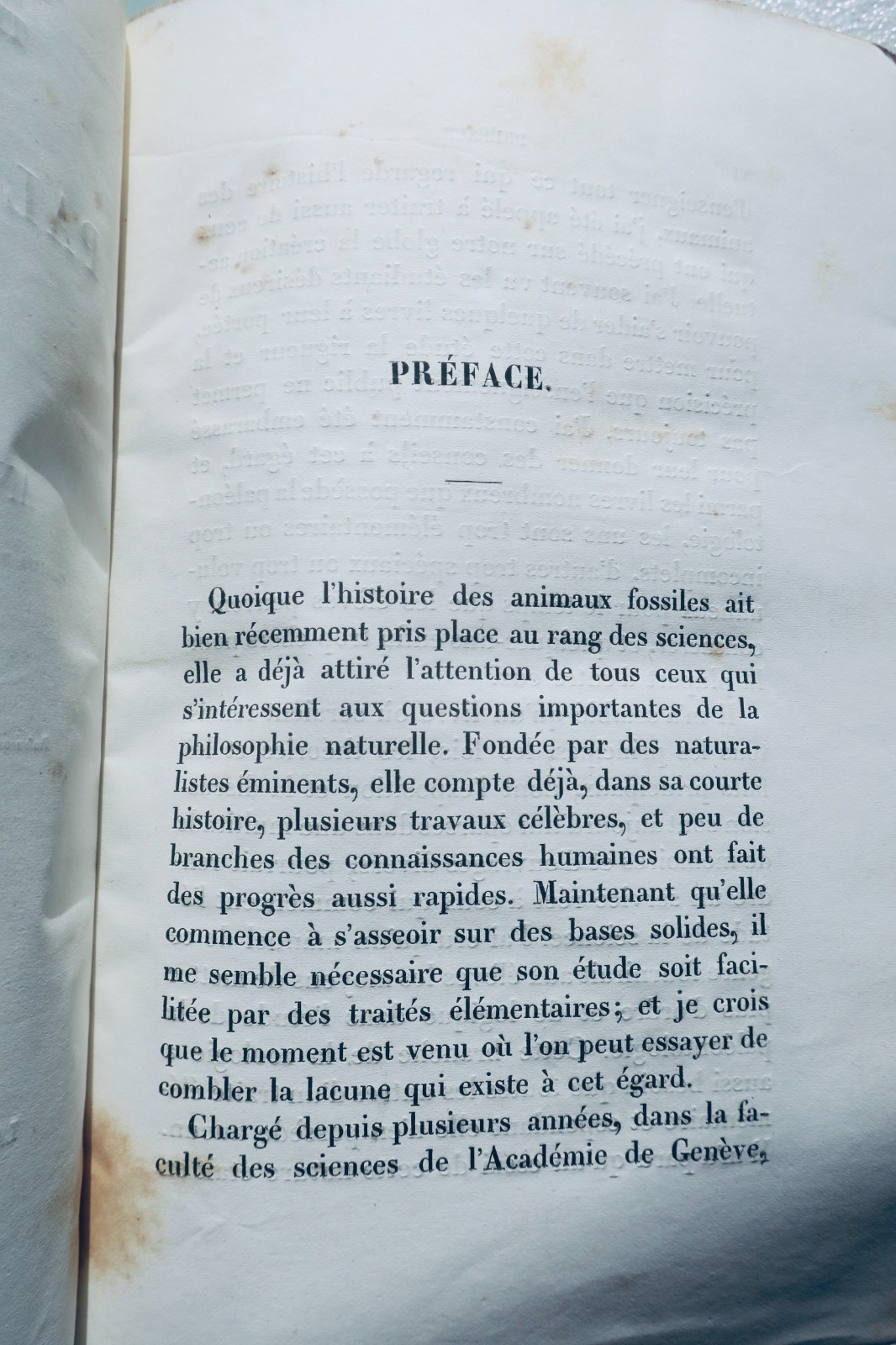paléontologie Pictet Traité élémentaire de paléontologie ou histoire naturel des - Image 7
