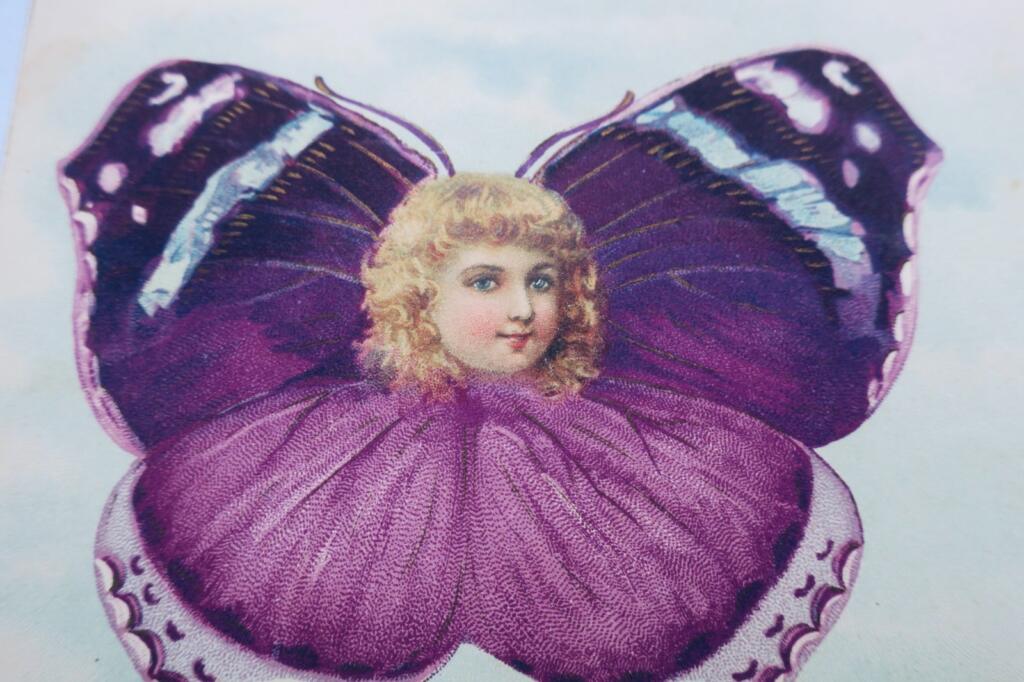Schmetterling & Engelskopf / Polizeipräsident