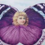 Butterfly & Angelic Head / Police Commissioner