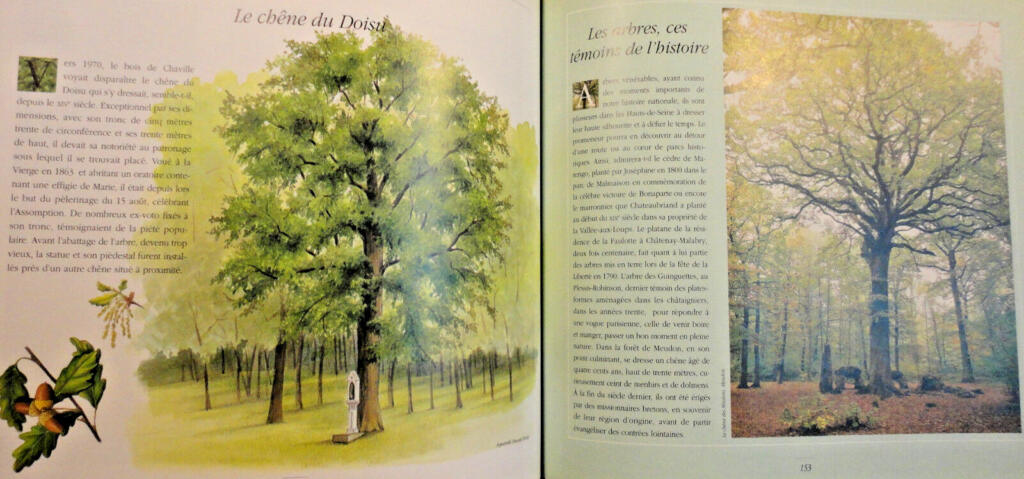 Erkundung von Parks und Gärten