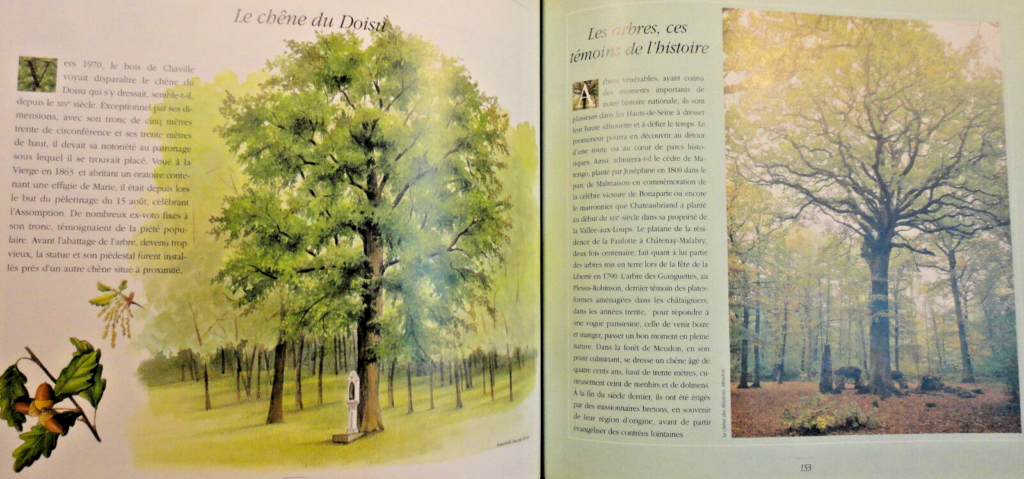 Exploration of Parks and Gardens