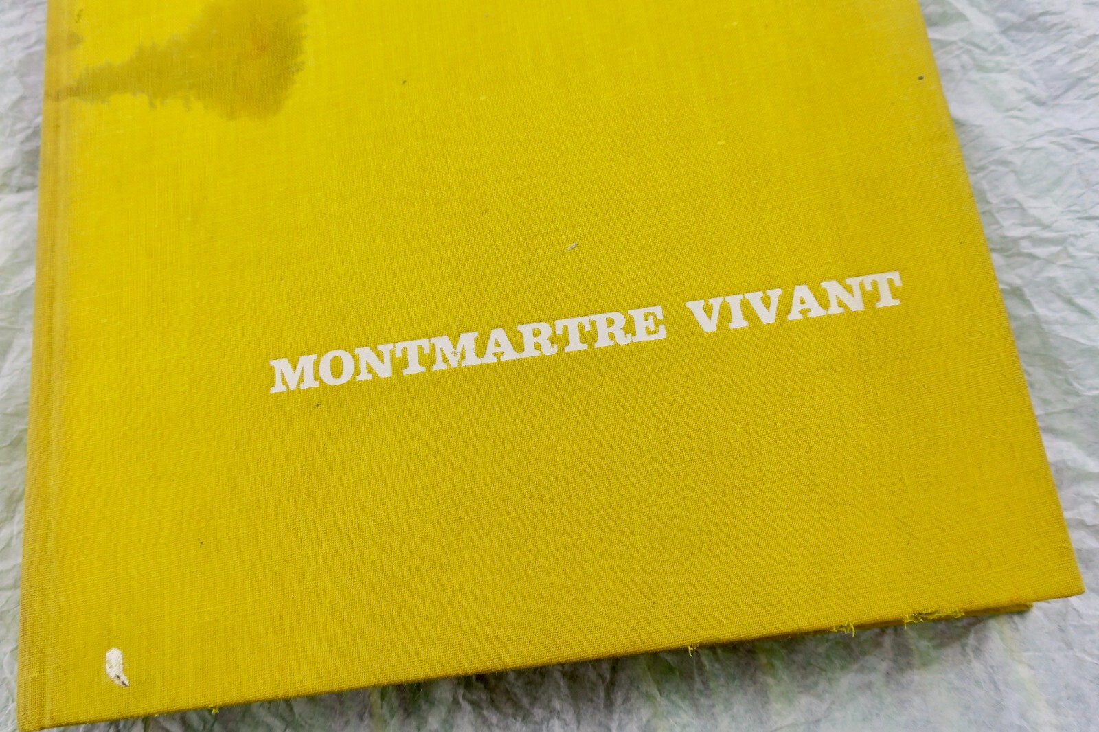 生动的蒙马特：美好年代巴黎的艺术家们<span class="lla-card-orig-wrap"><span class="lla-card-orig">❦ PARIS Montmartre vivant Villon, Galanis, Van Dongen, Pablo Picasso, Gen Paul..</span></span> - La Librairie Antique