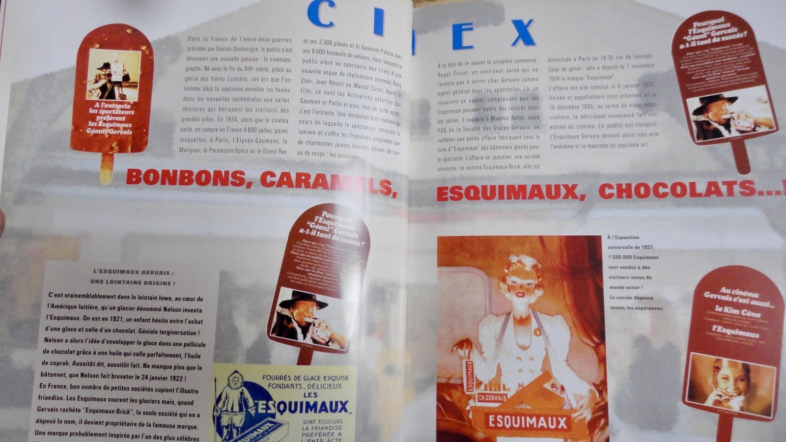 Geschichte von Findus-Eis in Frankreich - Image 5