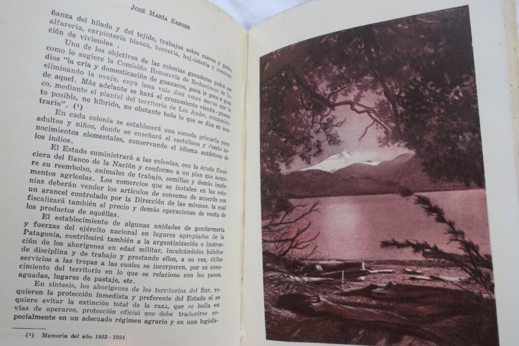 Geographische und Wirtschaftsstudie Patagoniens