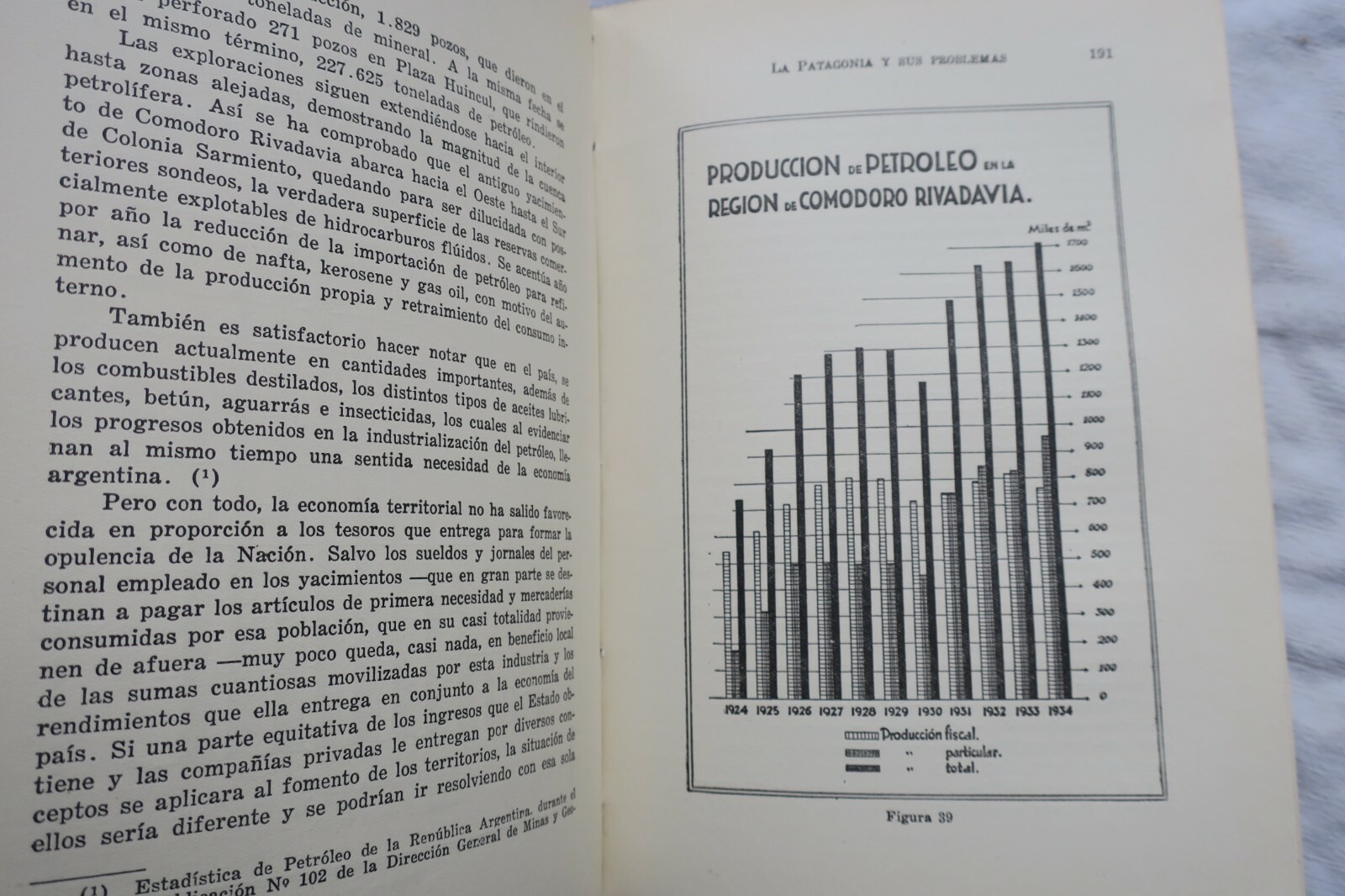 Geographical and Economic Study of Patagonia - Image 5