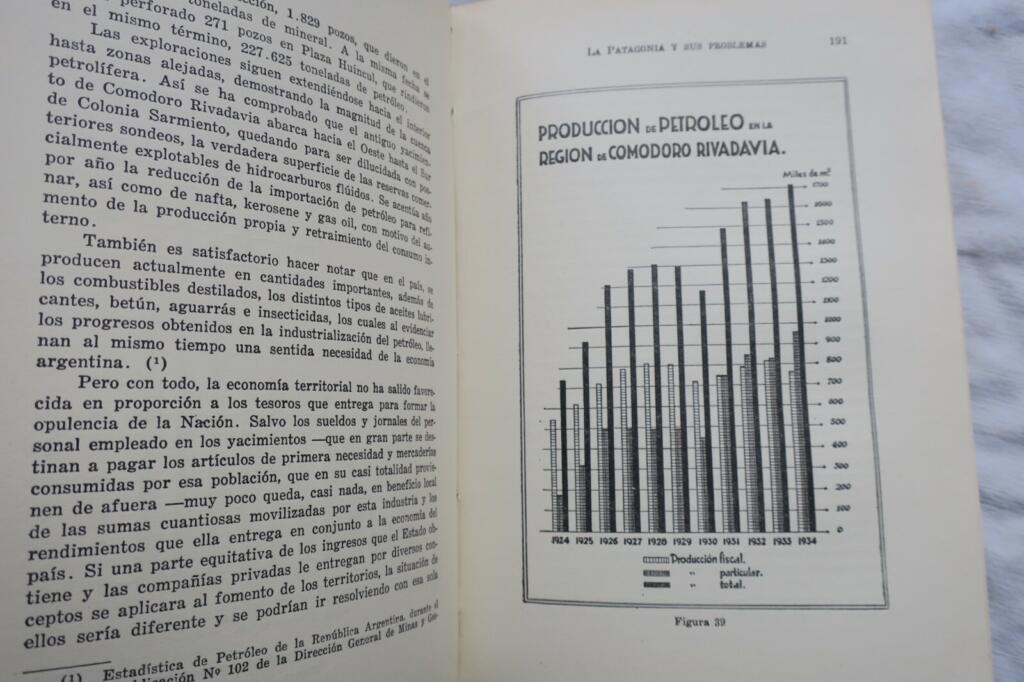 Geographische und Wirtschaftsstudie Patagoniens