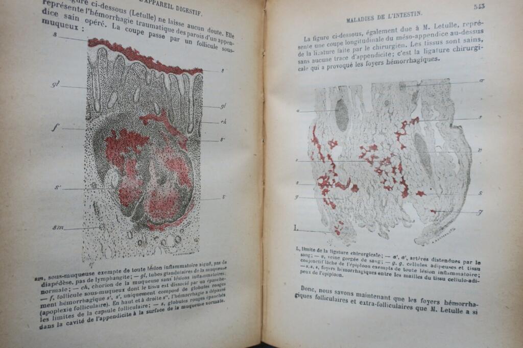 Comprehensive Guide to Internal Pathology