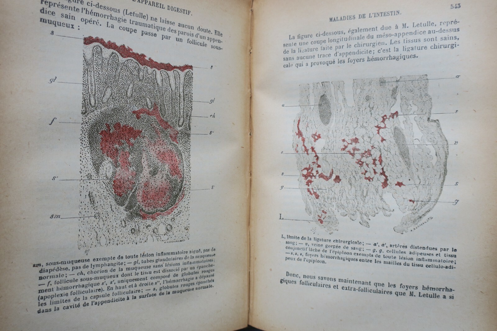Comprehensive Guide to Internal Pathology - Image 7