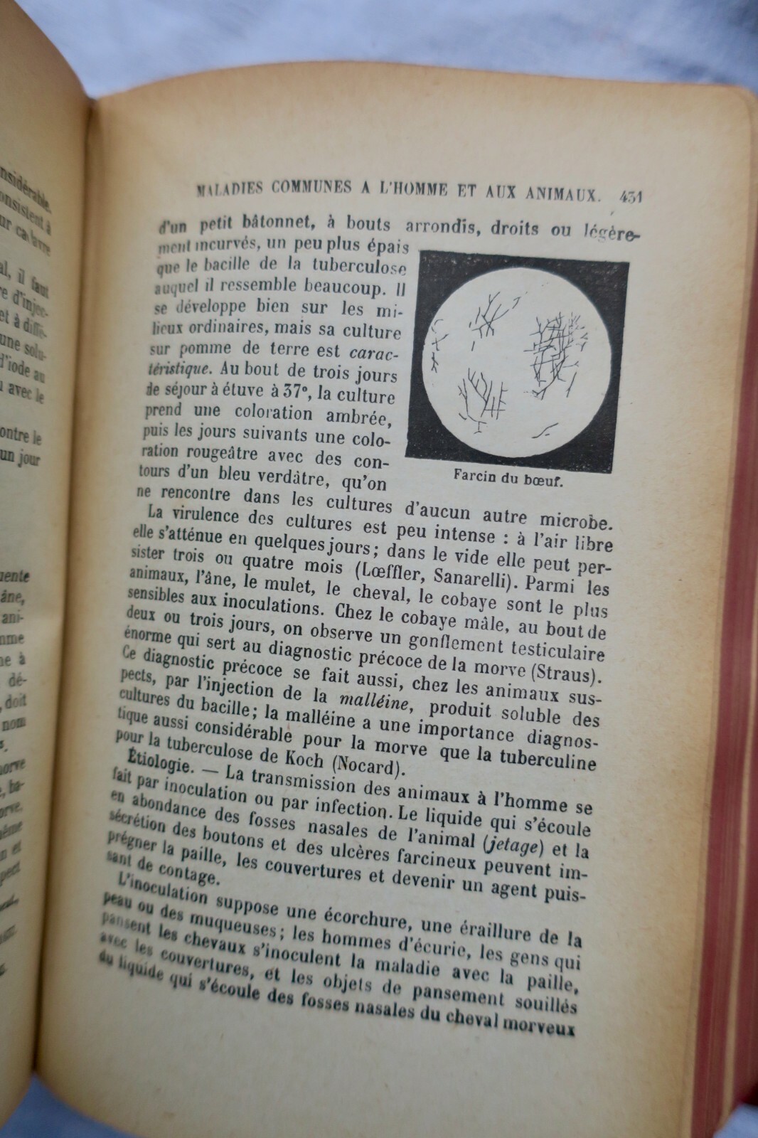 Umfassender Leitfaden zur inneren Pathologie<span class="lla-card-orig-wrap"><span class="lla-card-orig">❦ pathologie DIEULAFOY MANUEL DE PATHOLOGIE INTERNE 1918</span></span> - La Librairie Antique