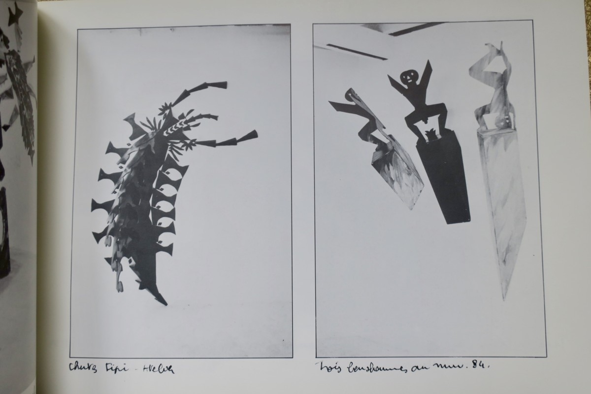 PATRICK RAYNAUD ALBUM – PHOTOS, dédicacé – Image 4