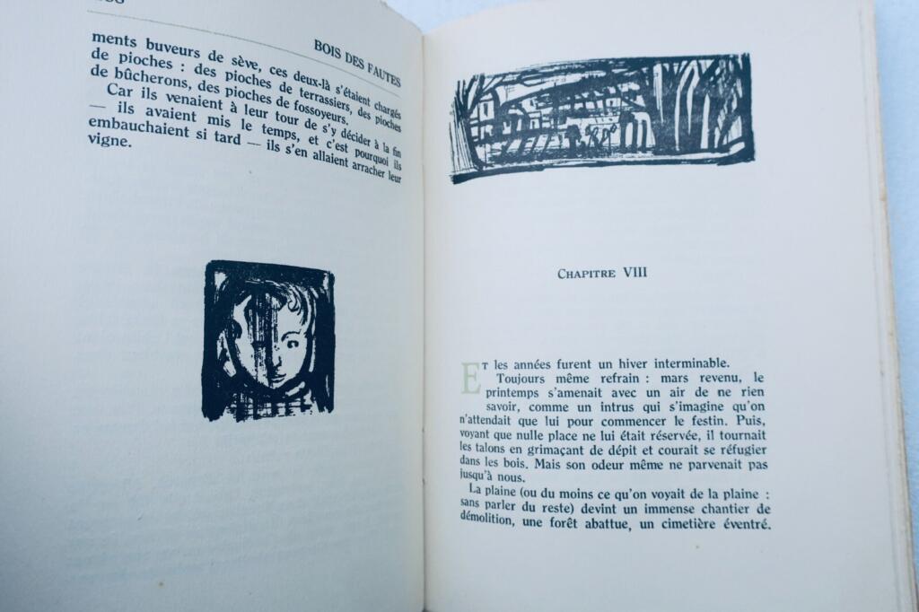 Paul Villéger. Bois des fautes. L&rsquo;amitié par le livre