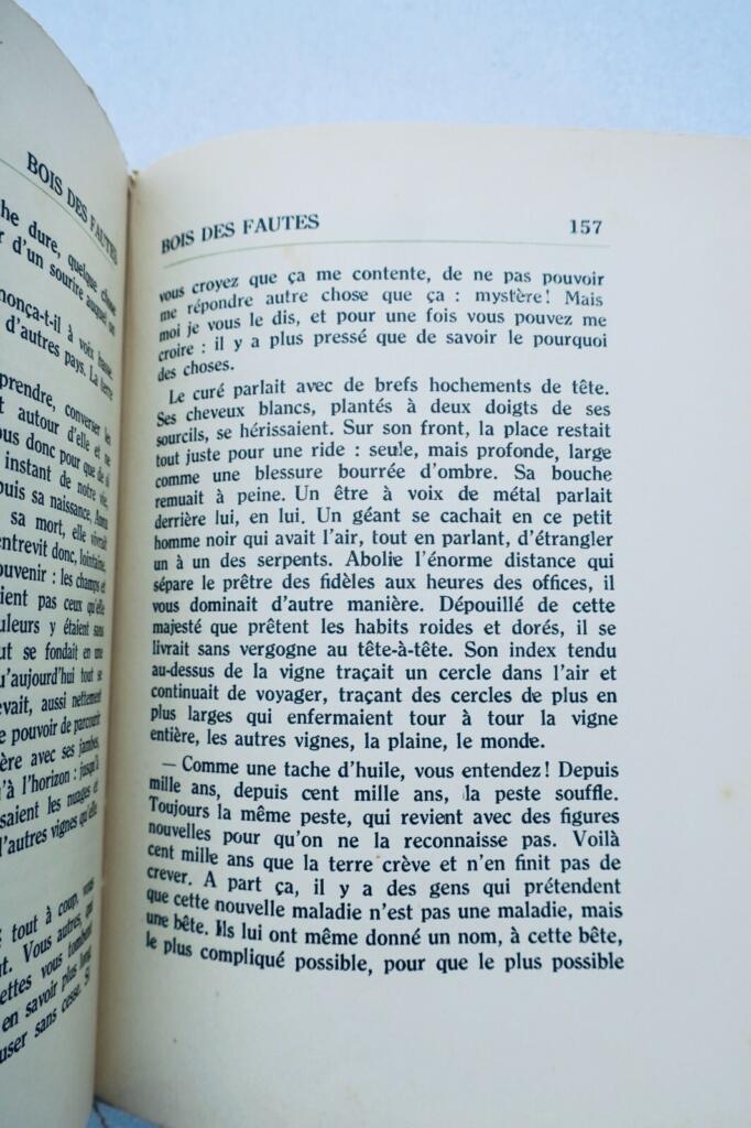 Paul Villéger. Bois des fautes. L&rsquo;amitié par le livre