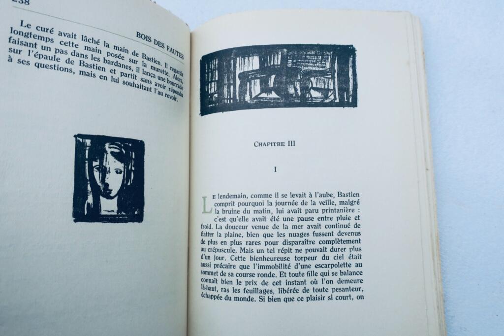 Reflections on Friendship through Literature