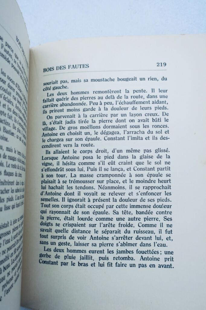 Reflections on Friendship through Literature