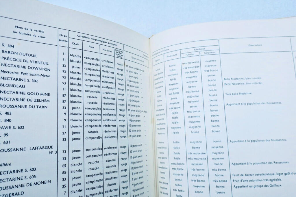 Monographie der Pfirsichsorten