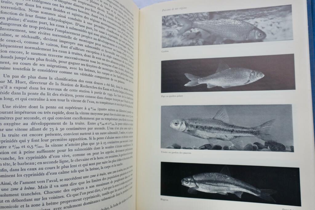 Großes Handbuch für Süßwasserfischerei