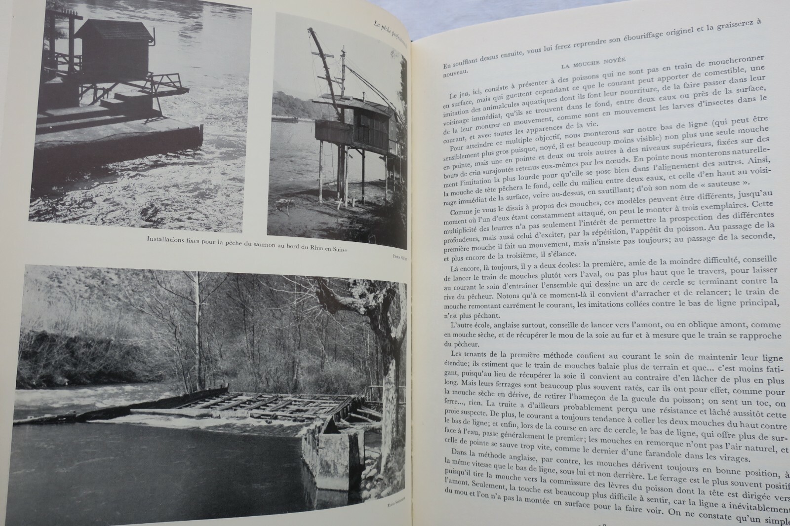 Umfassender Leitfaden zum Süßwasserfischen - Image 7