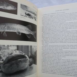 Pêche grand Livre de La Pêche et Des Poissons : Eau Douce 1952