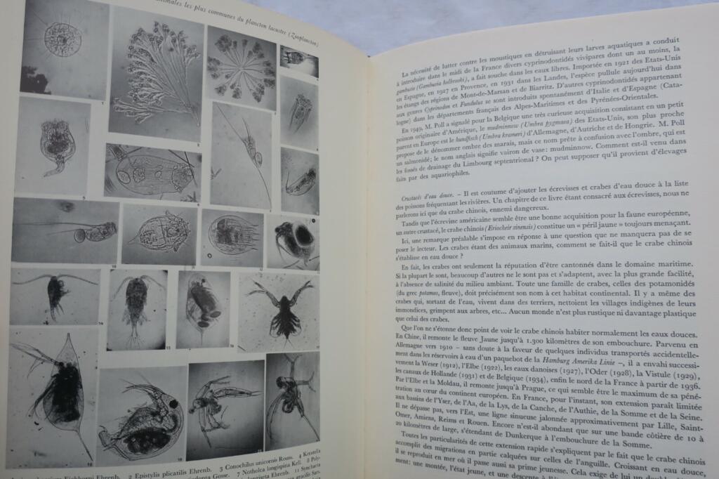 Großes Handbuch für Süßwasserfischerei