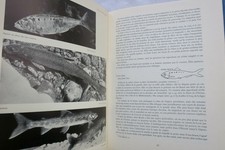 Großes Handbuch für Süßwasserfischerei – Image 21