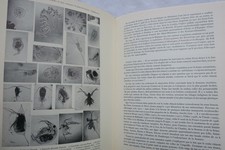 Großes Handbuch für Süßwasserfischerei – Image 19