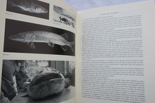 Großes Handbuch für Süßwasserfischerei – Image 13