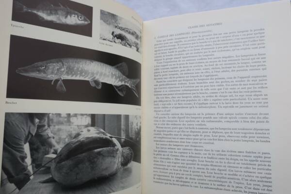 Großes Handbuch für Süßwasserfischerei