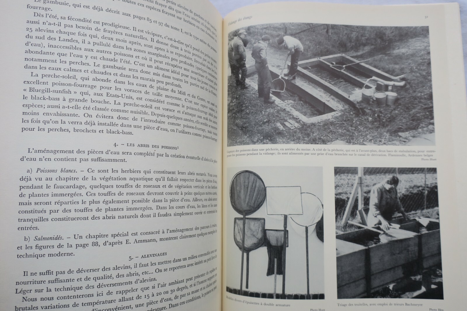 Großes Handbuch für Süßwasserfischerei – Image 9