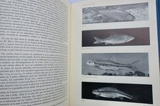 Großes Handbuch für Süßwasserfischerei – Image 20