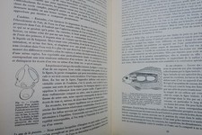 Großes Handbuch für Süßwasserfischerei – Image 22