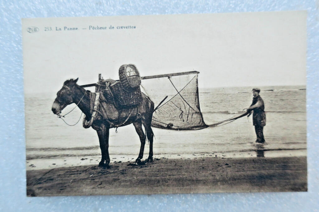 Shrimp Fisher at La Panne