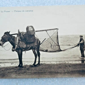 pêcheur de crevettes LA PANNE
