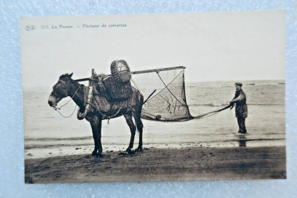 pêcheur de crevettes LA PANNE