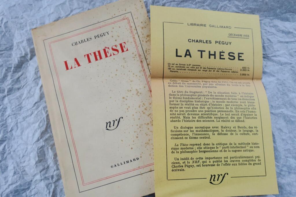 Philosophical Essay on Academic Thesis