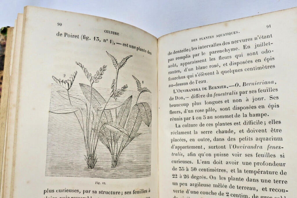 Cultivation Techniques for Various Plants