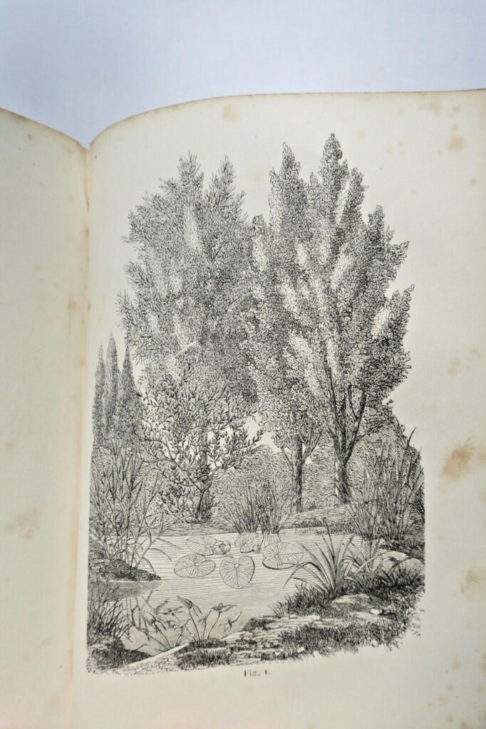 Cultivation Techniques for Various Plants