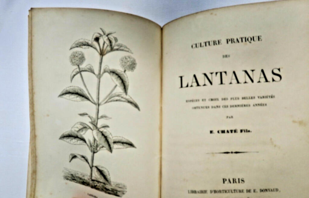 Cultivation Techniques for Various Plants