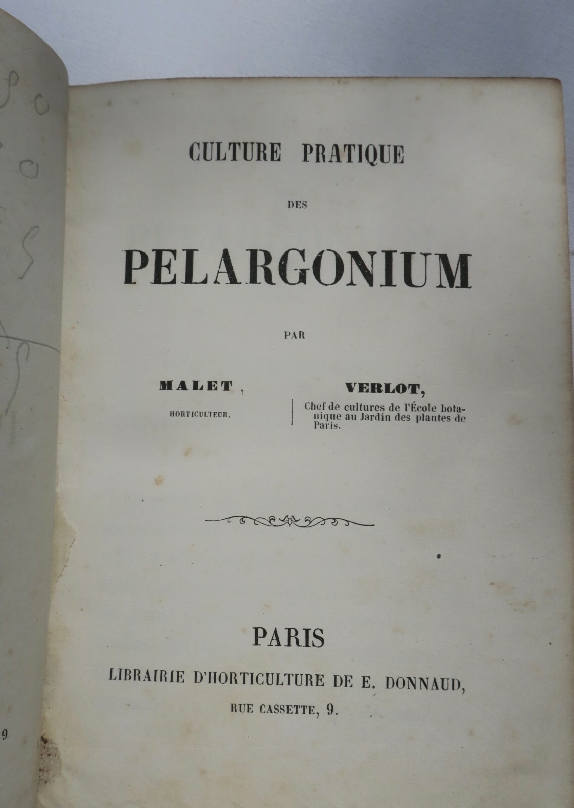 Praktischer Leitfaden für Pelargonien, Levkojen, Wasserpflanzen & Lantanen<span class="lla-card-orig-wrap"><span class="lla-card-orig">❦ pelargonium culture pratique des pelargonium, giroflées, aquatiques, lantanas</span></span> - La Librairie Antique