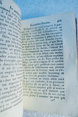 Der ideale Schüler: Leben junger Gelehrter